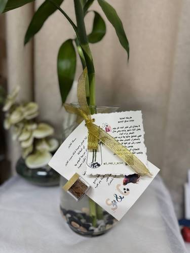 فازه الاسم