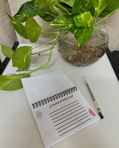 دفتر مفكرة
