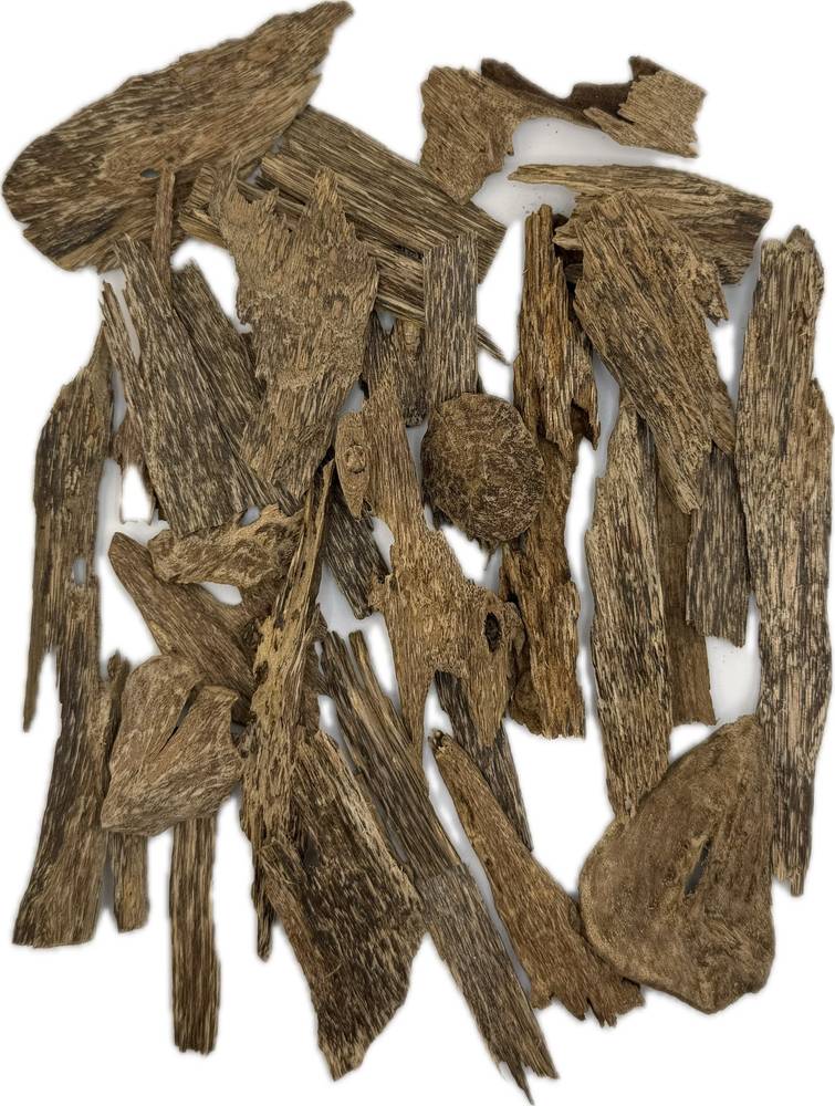 بونتيانك ناتونا سوبر (ميني وقشور)