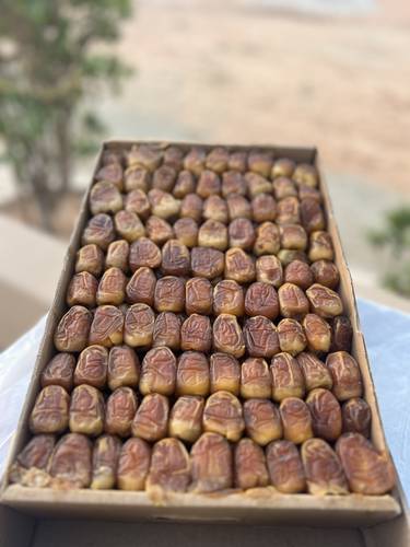 رطب سكري