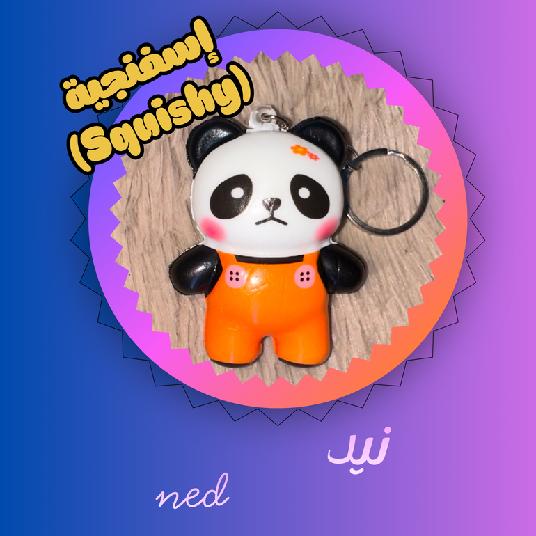 نيد ned