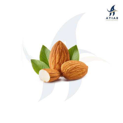 لوز -ALMOND