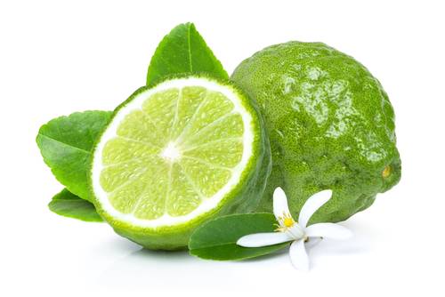 زهرة البرغموت -bergamot flower