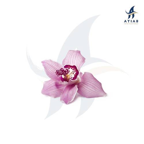 اوركيد -ORCHID