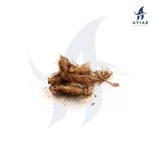 سنبل الطيب - JATAMANSI NNO