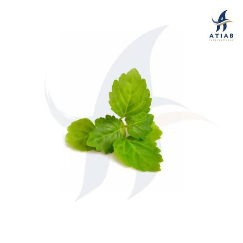 باتشولي -  PATCHOULI NNO