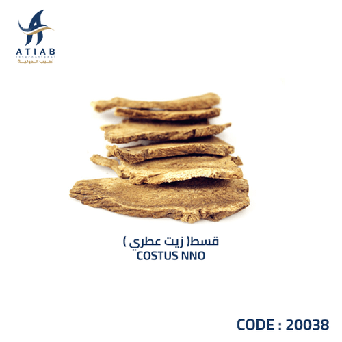  ( زيت عطري )قسط -  COSTUS NNO