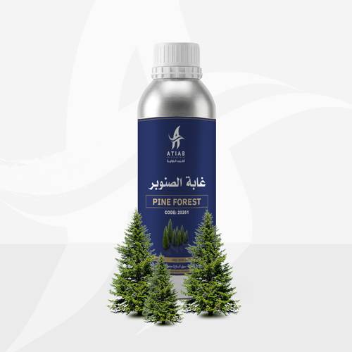 غابة الصنوبر -PINE FOREST&nbsp;