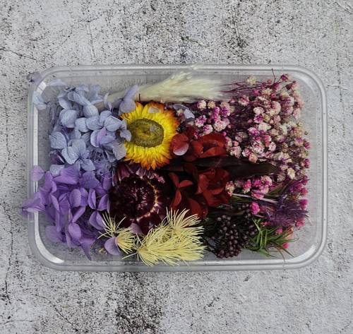 Dried flowers C11