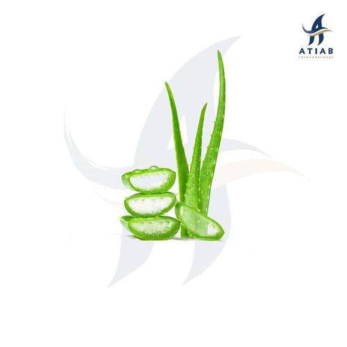 ألوافيرا (صبار ) -ALOEVERA