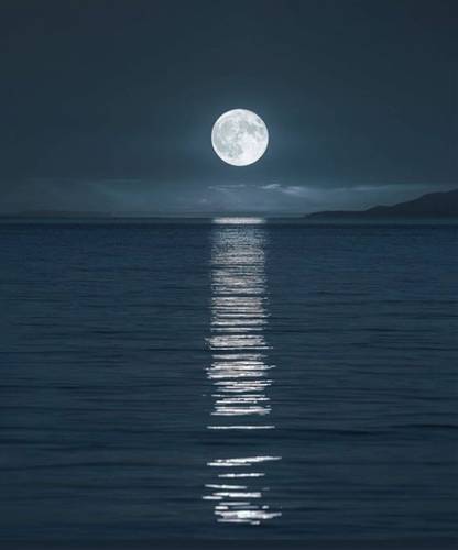 مون لايت -moonlight