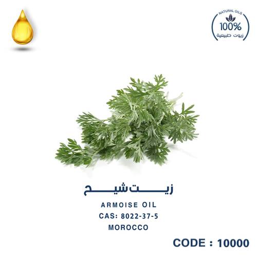 شيح - ARMOISE OIL- MOROCCO 