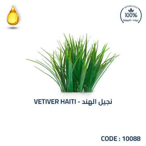 نجيل الهند-VETIVER HAITI