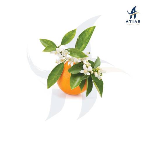 زهرة البرتقال المر -NEROLI MOROCCO OIL