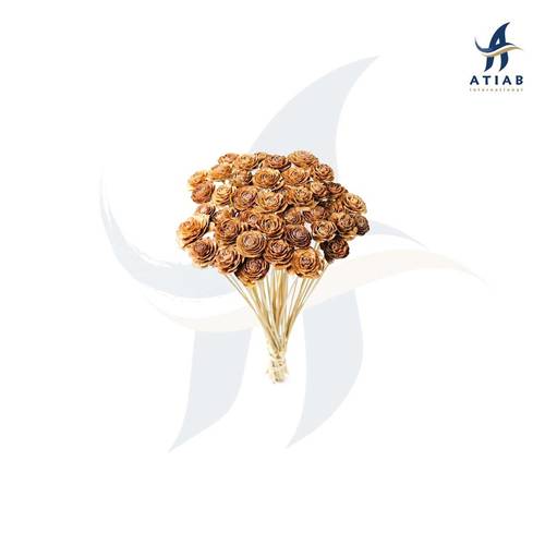 ورد سيدار - ROSE CEDAR