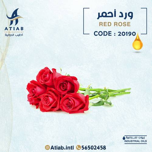ورد أحمر -red rose