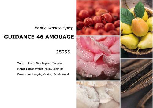 Similar to Guidance 46 Amouage