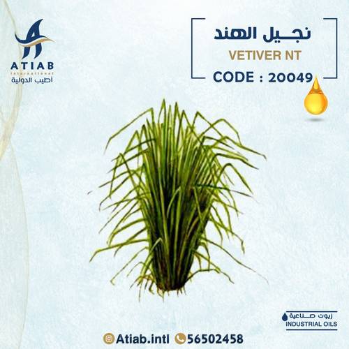 نجيل الهند -  VETIVER NT