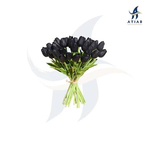 التوليب الأسود -BLACK TULIP