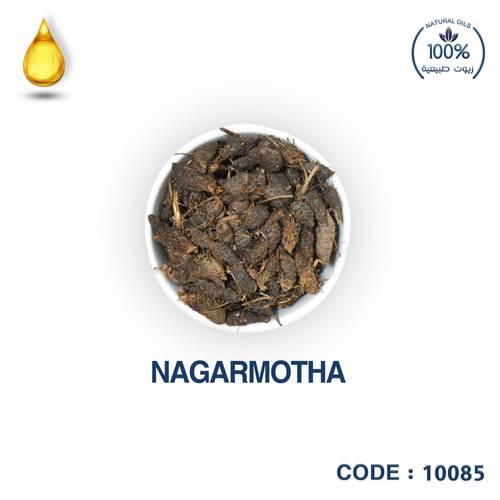 السعد-NAGARMOTHA