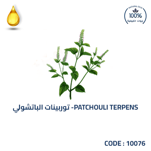 توربينات الباتشولي -PATCHOULI TERPENS
