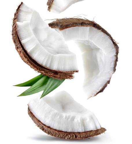 جوز هند -coconut