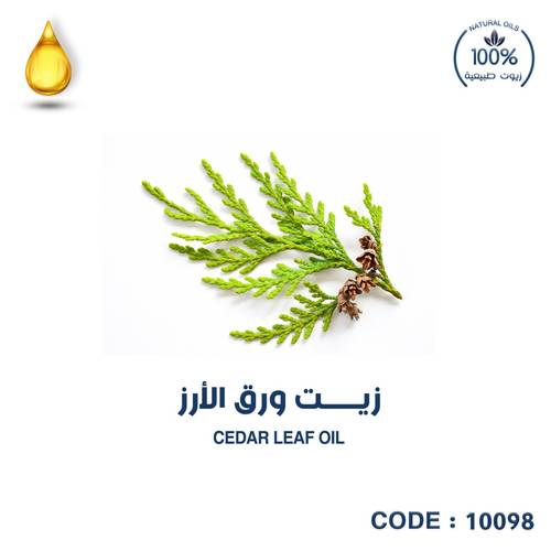   ورق الارز -CEDAR LEAF