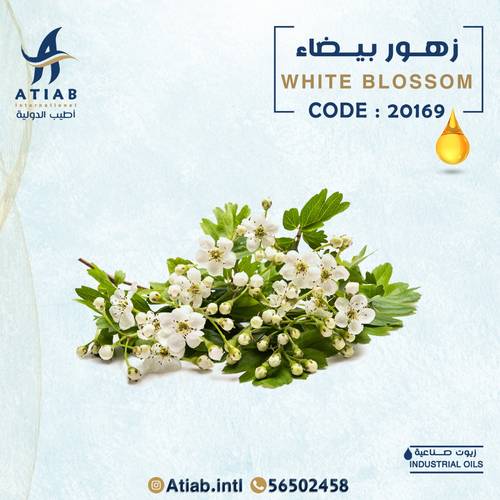 زهور بيضاء -white blossom
