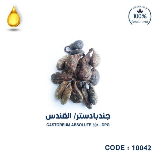 جندبادستر/ القندس  50% DPG-CASTOREUM ABSOLUTE 