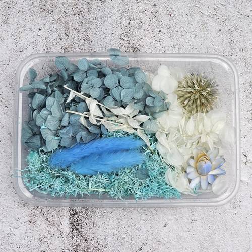 Dried flowers D07
