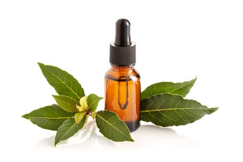 ورق غار - Bay Oil NNO