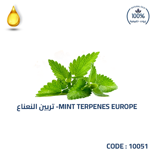تربين النعناع -MINT TERPENES EUROPE