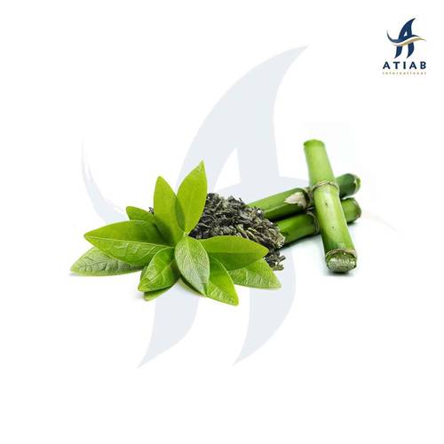  GREEN TEA & BAMBOO 