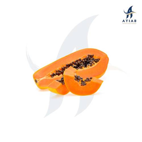 بابايا -PAPAYA