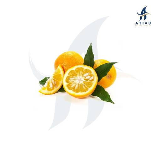 برتقال مر -  BITTER ORANGE