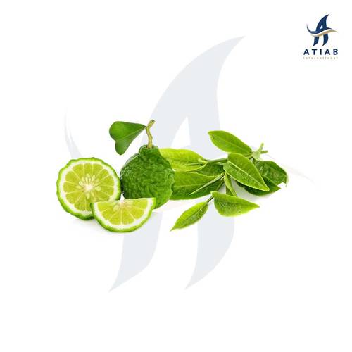برغموت وشاي أخضر - BERGAMOT GREEN TEA 