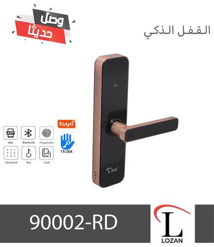 مسكة باب ذكية برونز -لوزان