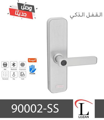 مسكة باب ذكية فضي -لوزان