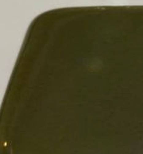 FMG 1001
