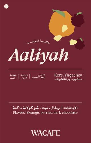 عالية |  إثيوبيا 