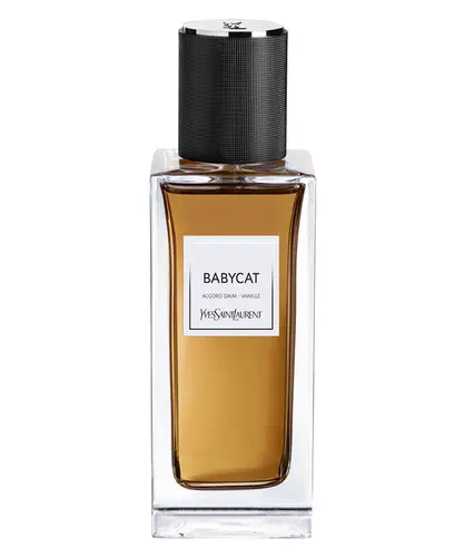 عطر إيف سان لوران بيبي كات لو فيستيير دي بارفان 125 مل 