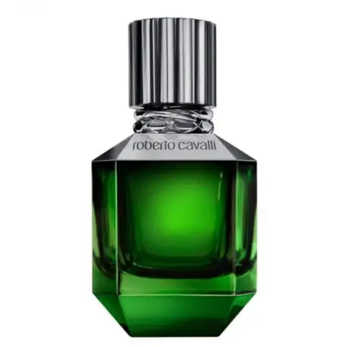 عطر روبرتو كفالي بارادايس فاوند للرجال او دو تواليت 75مل