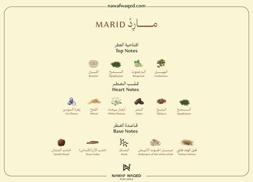 مــارِدْ - MARID