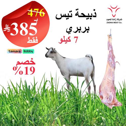 تيس بربري 7 كيلو 