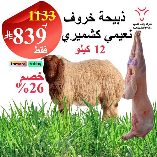 خروف نعيمي 12 كيلو
