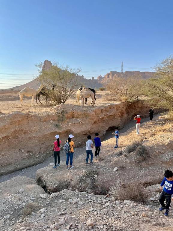 Ancient Camel Track