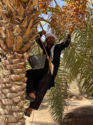 Dates Season on 8-9 of September 2023 