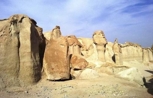 واحة الاحساء 