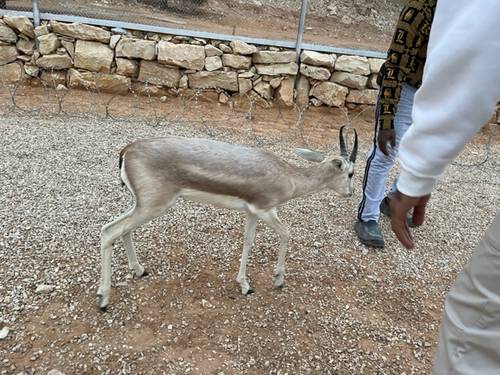 مسك نهاية العام  رحلة مع الطبيعه 22-12-2023