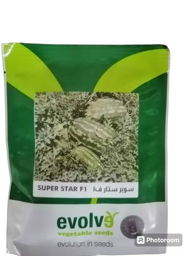  حبحب سوبر ستار F1 كريمسون 1000 بذرة